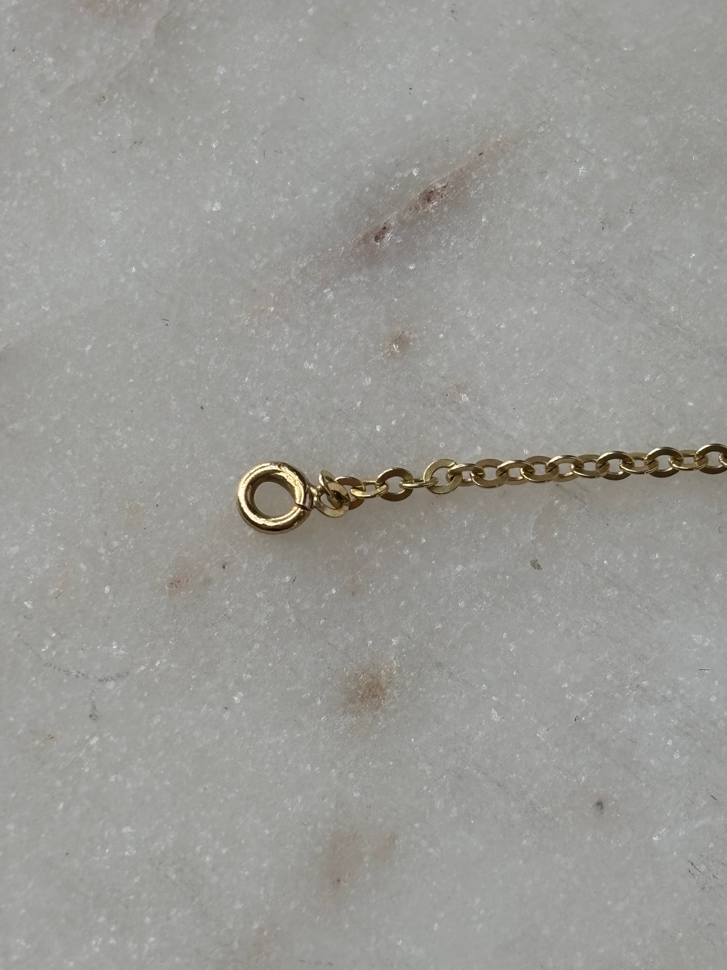 Gold Hook & Chain Extender